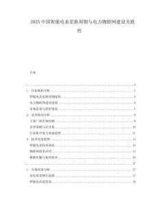 2025中國智能電表更換周期與電力物聯網建設關聯性
