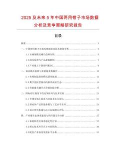 2025及未來5年中國兩用鉗子市場數據分析及競爭策略研究報告