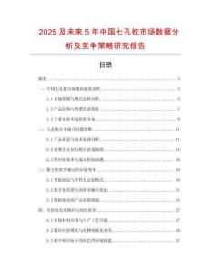 2025及未來5年中國七孔枕市場數(shù)據(jù)分析及競爭策略研究報告