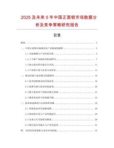 2025及未來(lái)5年中國(guó)正面鎖市場(chǎng)數(shù)據(jù)分析及競(jìng)爭(zhēng)策略研究報(bào)告