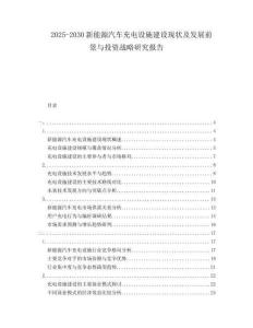 2025-2030新能源汽車充電設施建設現(xiàn)狀及發(fā)展前景與投資戰(zhàn)略研究報告