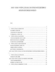 2025-2030中國風力發電行業市場分析發展策略行業投資前景規劃分析報告