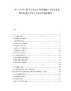 2025-2030中國動力電池管理系統(tǒng)行業(yè)市場競爭態(tài)勢分析及行業(yè)發(fā)展趨勢研究規(guī)劃報告