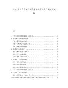 2025中國海洋工程裝備制造業發展瓶頸突破研究報告