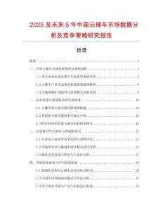 2025及未來5年中國云梯車市場數(shù)據(jù)分析及競爭策略研究報告