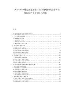 2025-2030丹麥交通運輸行業市場現狀供需分析投資審定產業規劃分析報告