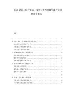 2025建筑工程行業施工效率分析及項目管理評估規劃研究報告