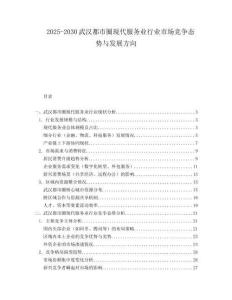 2025-2030武漢都市圈現代服務業行業市場競爭態勢與發展方向