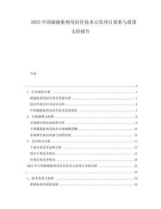 2025中國(guó)碳捕集利用封存技術(shù)示范項(xiàng)目效果與政策支持報(bào)告