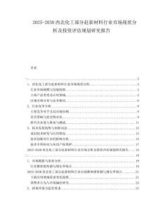 2025-2030西北化工部分趕新材料行業(yè)市場現(xiàn)狀分析及投資評估規(guī)劃研究報告