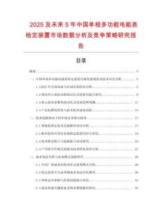 2025及未來5年中國單相多功能電能表檢定裝置市場數據分析及競爭策略研究報告