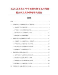 2025及未來5年中國棉布燒毛機市場數據分析及競爭策略研究報告