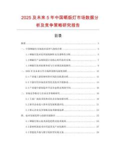 2025及未來5年中國曬版燈市場數(shù)據(jù)分析及競爭策略研究報告
