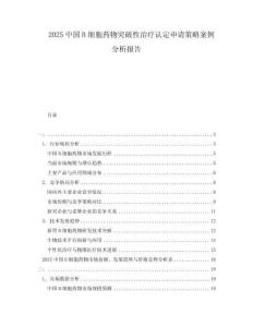 2025中國B細胞藥物突破性治療認定申請策略案例分析報告