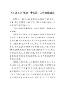 鎮(zhèn)2025年及“十四五”工作完成情況
