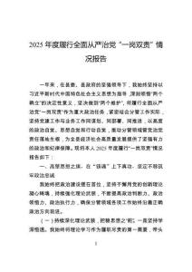 2025年度履行全面從嚴治黨“一崗雙責”情況報告