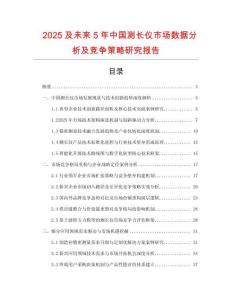 2025及未来5年中国测长仪市场数据分析及竞争策略研究报告