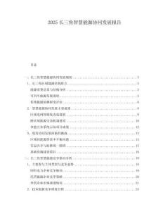 2025長三角智慧能源協(xié)同發(fā)展報(bào)告