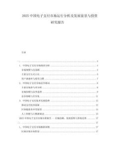 2025中國電子支付市場運(yùn)行分析及發(fā)展前景與投資研究報告
