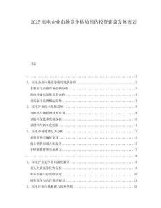 2025家電企業(yè)市場(chǎng)競(jìng)爭(zhēng)格局預(yù)估投資建議發(fā)展規(guī)劃