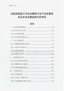 定制高強(qiáng)度工作安全腰帶行業(yè)產(chǎn)業(yè)發(fā)展現(xiàn)狀及未來(lái)發(fā)展趨勢(shì)分析研究