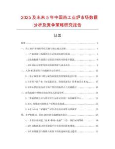 2025及未來5年中國熱工業(yè)爐市場數(shù)據(jù)分析及競爭策略研究報告