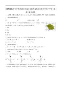 广东省深圳市南山实验教育集团白石洲学校2025-2026学年八年级上学期期中数学试卷（含答案）