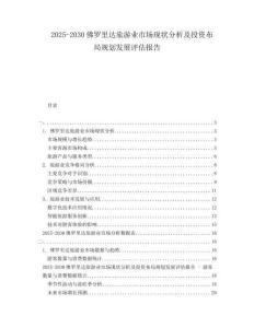 2025-2030佛羅里達旅游業(yè)市場現(xiàn)狀分析及投資布局規(guī)劃發(fā)展評估報告