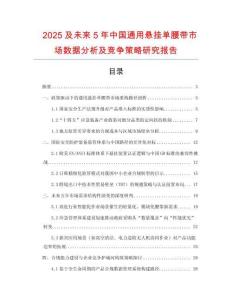 2025及未來(lái)5年中國(guó)通用懸掛單腰帶市場(chǎng)數(shù)據(jù)分析及競(jìng)爭(zhēng)策略研究報(bào)告