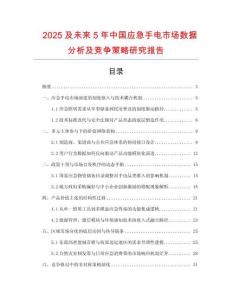 2025及未來(lái)5年中國(guó)應(yīng)急手電市場(chǎng)數(shù)據(jù)分析及競(jìng)爭(zhēng)策略研究報(bào)告