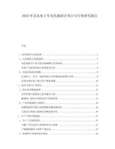 2025年及未來5年雙色液面計項目可行性研究報告