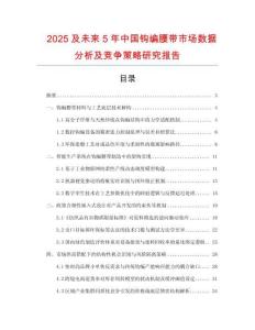 2025及未來(lái)5年中國(guó)鉤編腰帶市場(chǎng)數(shù)據(jù)分析及競(jìng)爭(zhēng)策略研究報(bào)告