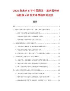 2025及未來5年中國剛玉—莫來石磚市場數(shù)據(jù)分析及競爭策略研究報(bào)告