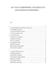 2025-2030圣文森特和格林納丁斯電信服務行業(yè)市場競爭態(tài)勢投資評估發(fā)展規(guī)劃報告