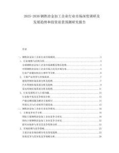 2025-2030鋼鐵冶金加工企業(yè)行業(yè)市場(chǎng)深度調(diào)研及發(fā)展趨勢(shì)和投資前景預(yù)測(cè)研究報(bào)告