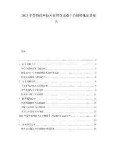 2025窄帶物聯(lián)網(wǎng)技術(shù)在智慧城市中的規(guī)?；渴饒?bào)告
