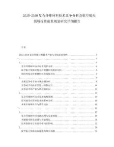 2025-2030復(fù)合纖維材料技術(shù)競(jìng)爭(zhēng)分析及航空航天領(lǐng)域投資前景規(guī)劃研究詳細(xì)報(bào)告