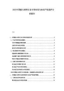 2025中國耐火材料行業(yè)專利布局與知識產(chǎn)權(quán)保護(hù)分析報告