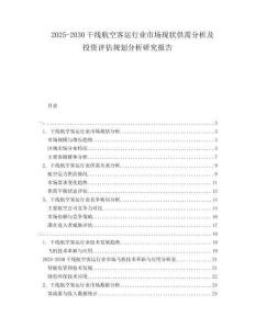 2025-2030干線(xiàn)航空客運(yùn)行業(yè)市場(chǎng)現(xiàn)狀供需分析及投資評(píng)估規(guī)劃分析研究報(bào)告