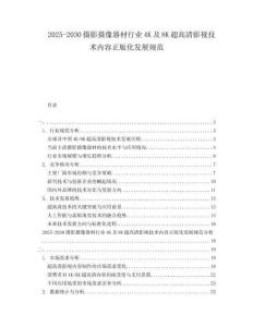 2025-2030攝影攝像器材行業(yè)4K及8K超高清影視技術(shù)內(nèi)容正版化發(fā)展規(guī)范