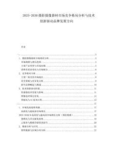 2025-2030攝影攝像器材市場(chǎng)競(jìng)爭格局分析與技術(shù)創(chuàng)新驅(qū)動(dòng)品牌發(fā)展方向