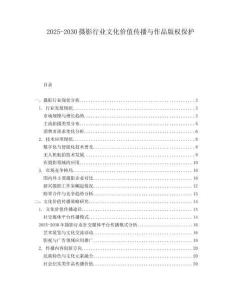 2025-2030攝影行業(yè)文化價(jià)值傳播與作品版權(quán)保護(hù)