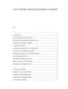 2025中國(guó)海泡石功能化改性技術(shù)突破與產(chǎn)業(yè)化路徑