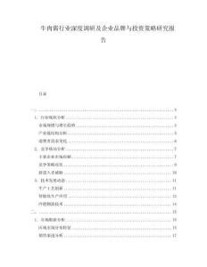 牛肉醬行業深度調研及企業品牌與投資策略研究報告
