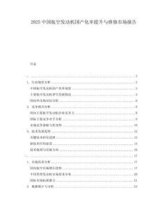 2025中國(guó)航空發(fā)動(dòng)機(jī)國(guó)產(chǎn)化率提升與維修市場(chǎng)報(bào)告