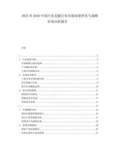 2025至2030中國白水皮艇行業(yè)市場深度研究與戰(zhàn)略咨詢分析報告