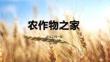 PowerPoint任務(wù)1農(nóng)作物之家