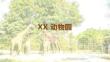 PPT任务2 XX 动物园
