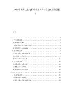 2025中國(guó)光伏發(fā)電行業(yè)成本下降與市場(chǎng)擴(kuò)張預(yù)測(cè)報(bào)告