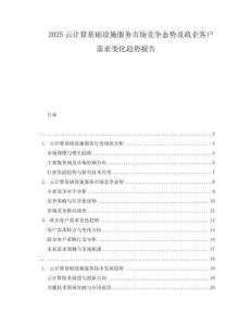2025云計(jì)算基礎(chǔ)設(shè)施服務(wù)市場(chǎng)競爭態(tài)勢(shì)及政企客戶需求變化趨勢(shì)報(bào)告